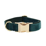Dark green corduroy dog collar with gold-tone buckle and D-ring hardware