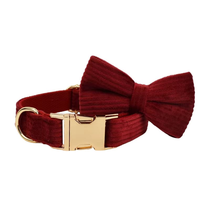 Dark red corduroy dog collar with gold buckle hardware and matching bowtie