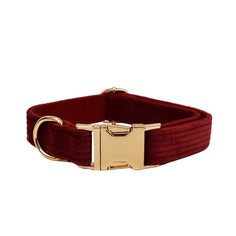 Dark red corduroy dog collar with gold-tone buckle and D-ring hardware