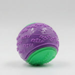 Squeaky training ball dog toy, purple ball with green bottom