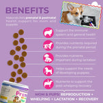 Dog prenatal & postnatal vitamins benefits panel with chew pieces and mom-puppy icons