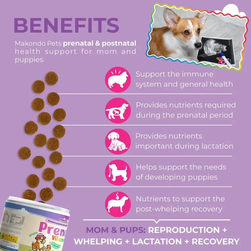 Dog prenatal & postnatal vitamins benefits panel with chew pieces and mom-puppy icons