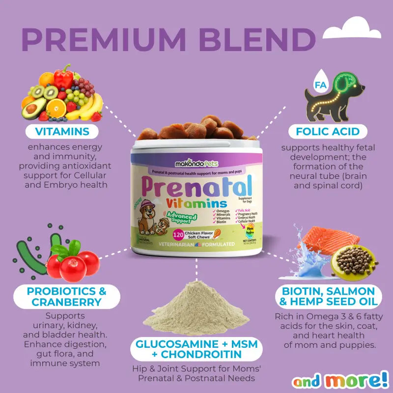 Dog Prenatal Vitamins premium blend graphic with vitamins, probiotics, folic acid, biotin oil