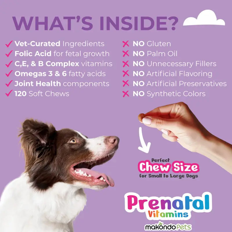 Dog Prenatal Vitamins what's inside panel with vet-curated ingredients and 120 soft chews