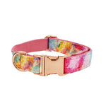 Pet collar with adjustable metal buckle and rainbow watercolor print