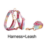 Rainbow watercolor dog harness and leash set with rose-gold metal hardware