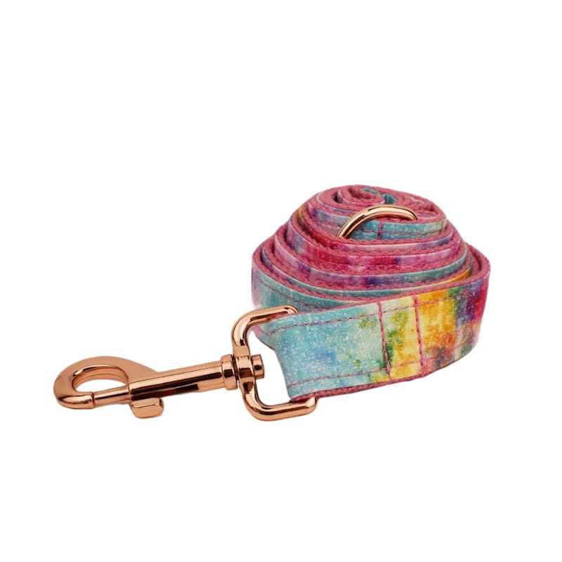 Rainbow watercolor dog leash strap with rose-gold metal clasp and D-ring