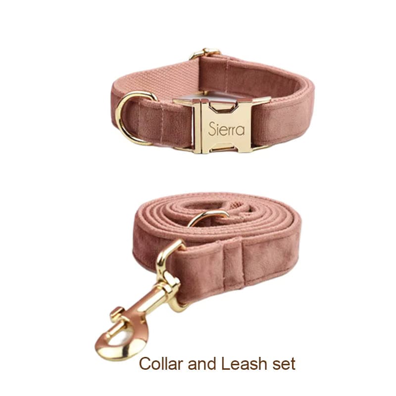 Dusty pink velvet pet collar and matching leash with gold-tone hardware.