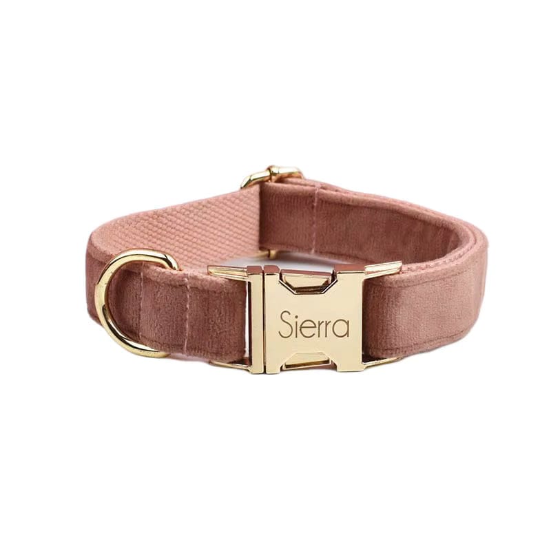Dusty pink velvet pet collar with gold-tone buckle and square logo plate.