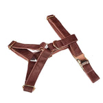 Dusty pink velvet pet harness with adjustable straps and gold-tone buckles.