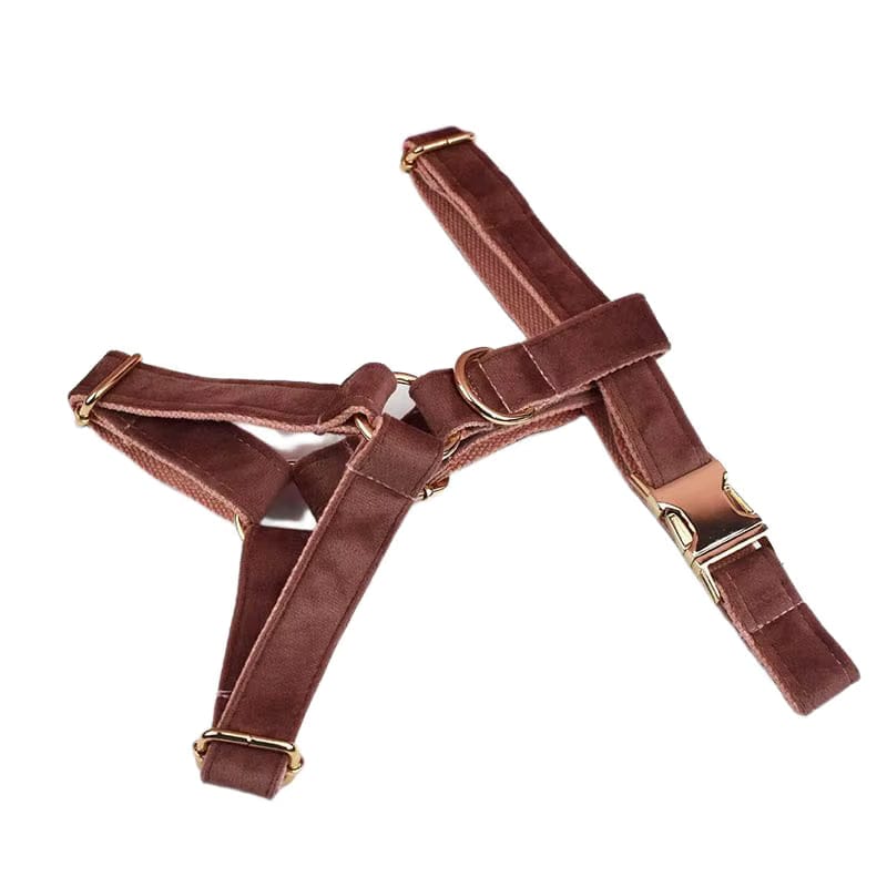 Dusty pink velvet pet harness with adjustable straps and gold-tone buckles.