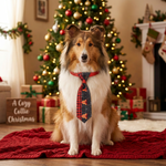 Pet Christmas necktie in dark blue plaid with reindeer motif, tied at collar.