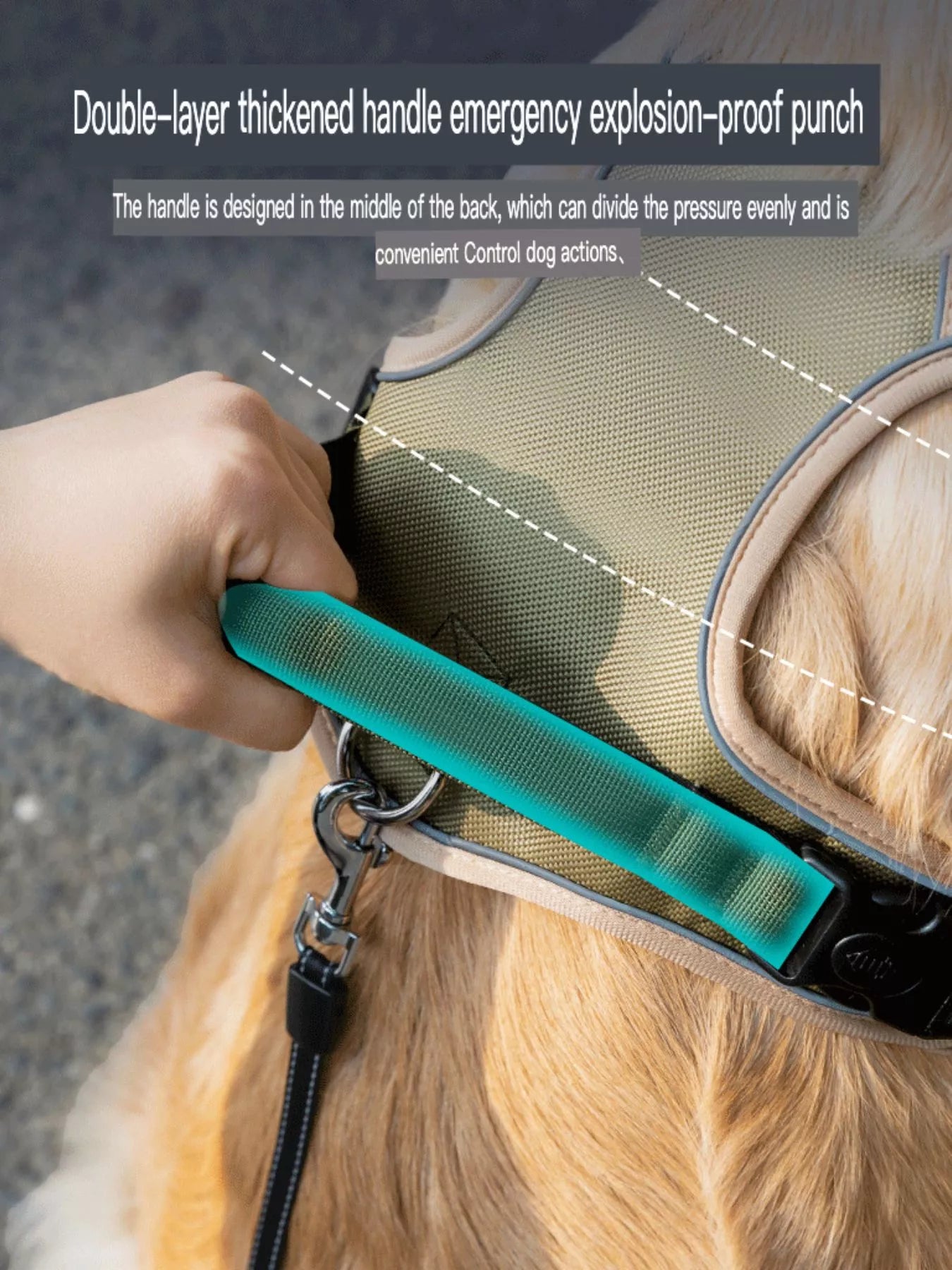 Adjustable pet harness with teal handle tab and metal leash clasp, close-up