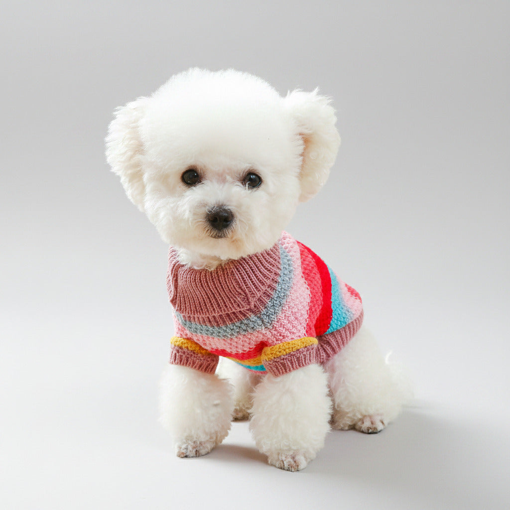 Pet striped acrylic sweater with multicolor bands and ribbed turtleneck on white dog