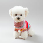 Pet striped acrylic sweater with multicolor bands and ribbed turtleneck on white dog