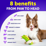 Dog multivitamin soft chews with green chew pieces beside a dog