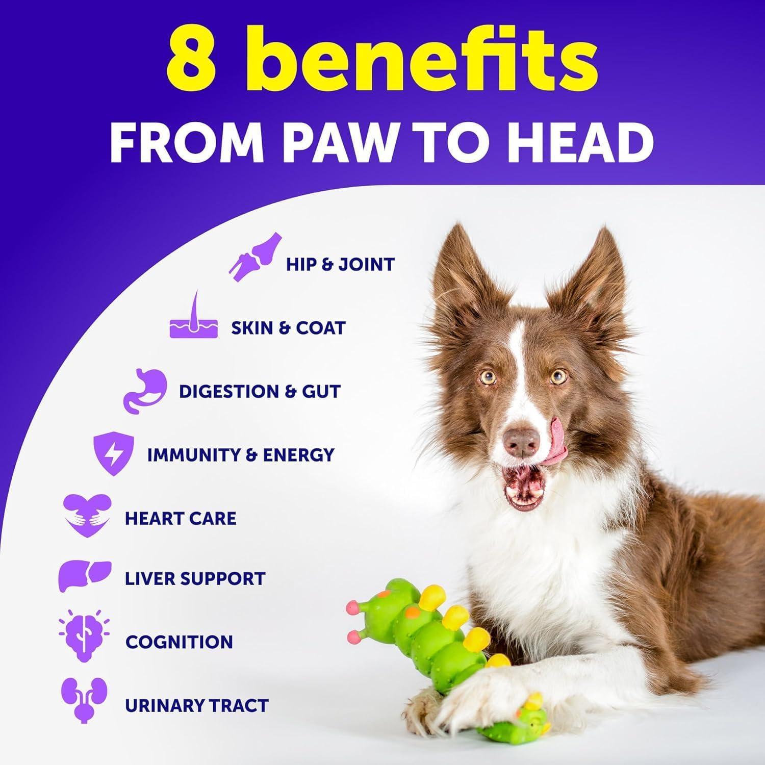 Dog multivitamin soft chews with green chew pieces beside a dog