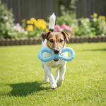 Light blue molar ball dog toy in a dog’s mouth during play
