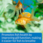Goldfish in aquarium; Aquarium Salt helps promote gill function.