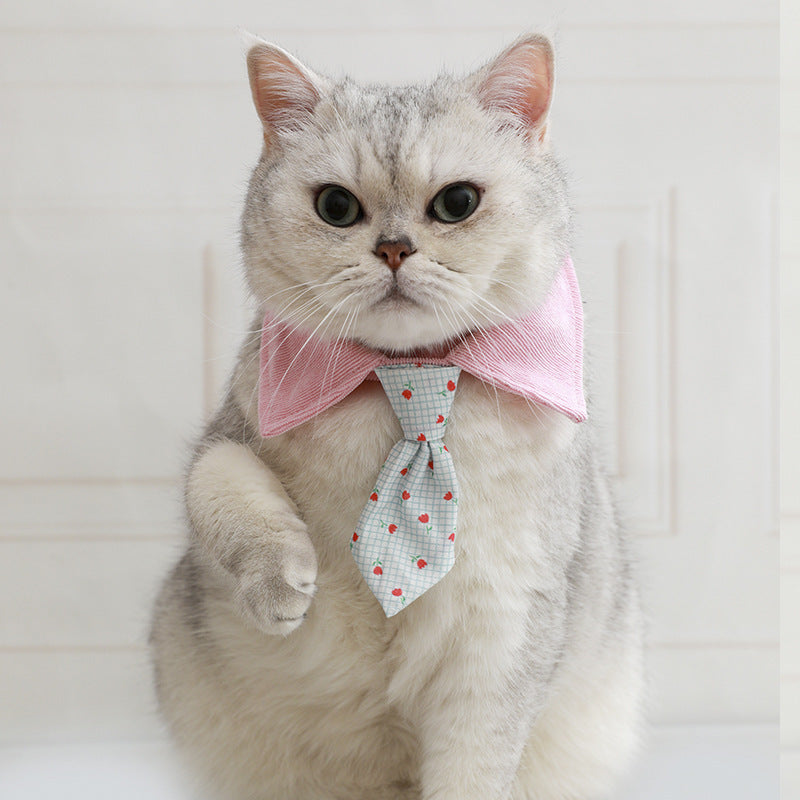 Cat collar with pink bow and light patterned necktie with red dots