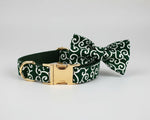 Green swirl bow tie dog collar with gold buckle and patterned strap