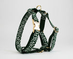Green swirl dog harness with gold hardware and adjustable front strap ring