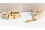Beige teddy dog collar and matching leash set with gold hardware