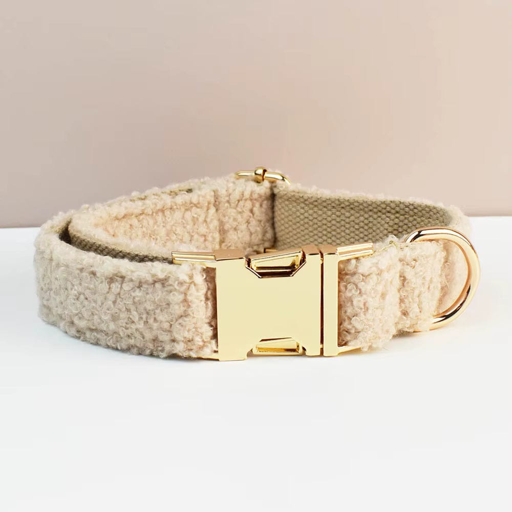 Beige teddy dog collar with gold buckle and D-ring hardware
