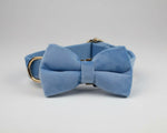 Blue velvet bowtie collar with gold clip buckle