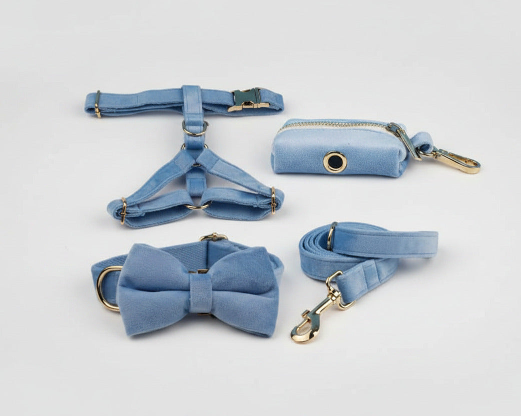 Blue velvet set: bowtie collar, harness, leash and poop bag pouch with gold hardware