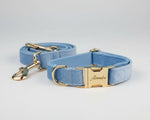 Blue velvet collar and leash set with gold nameplate buckles