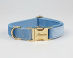 Blue velvet collar with gold nameplate and clasp buckle