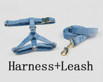 Light blue velvet harness and matching leash with gold buckles