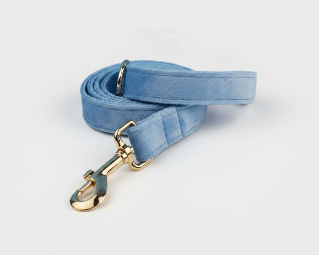 Blue velvet leash with gold trigger clasp and loop handle