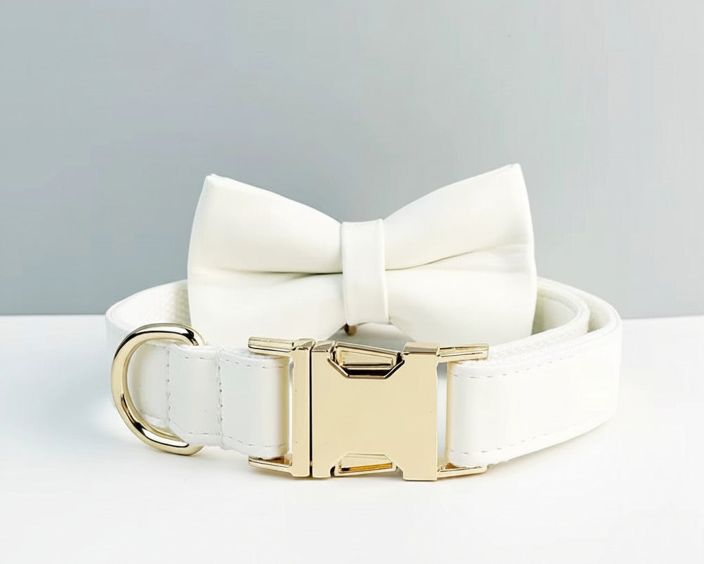 White leather bowtie dog collar with gold buckle and clasp; close-up view