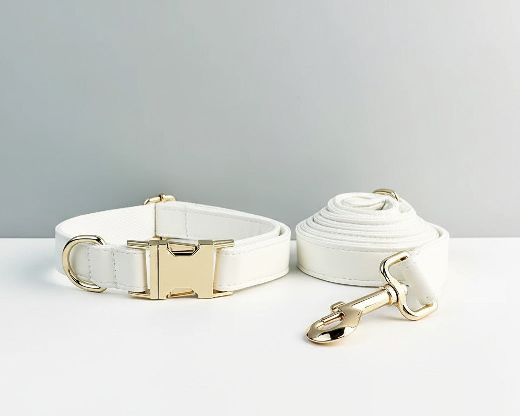 White leather dog collar and matching leash set with gold hardware