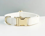 White leather dog collar with gold metal buckle and D-ring; close-up