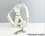 White leather harness with matching leash and gold buckles