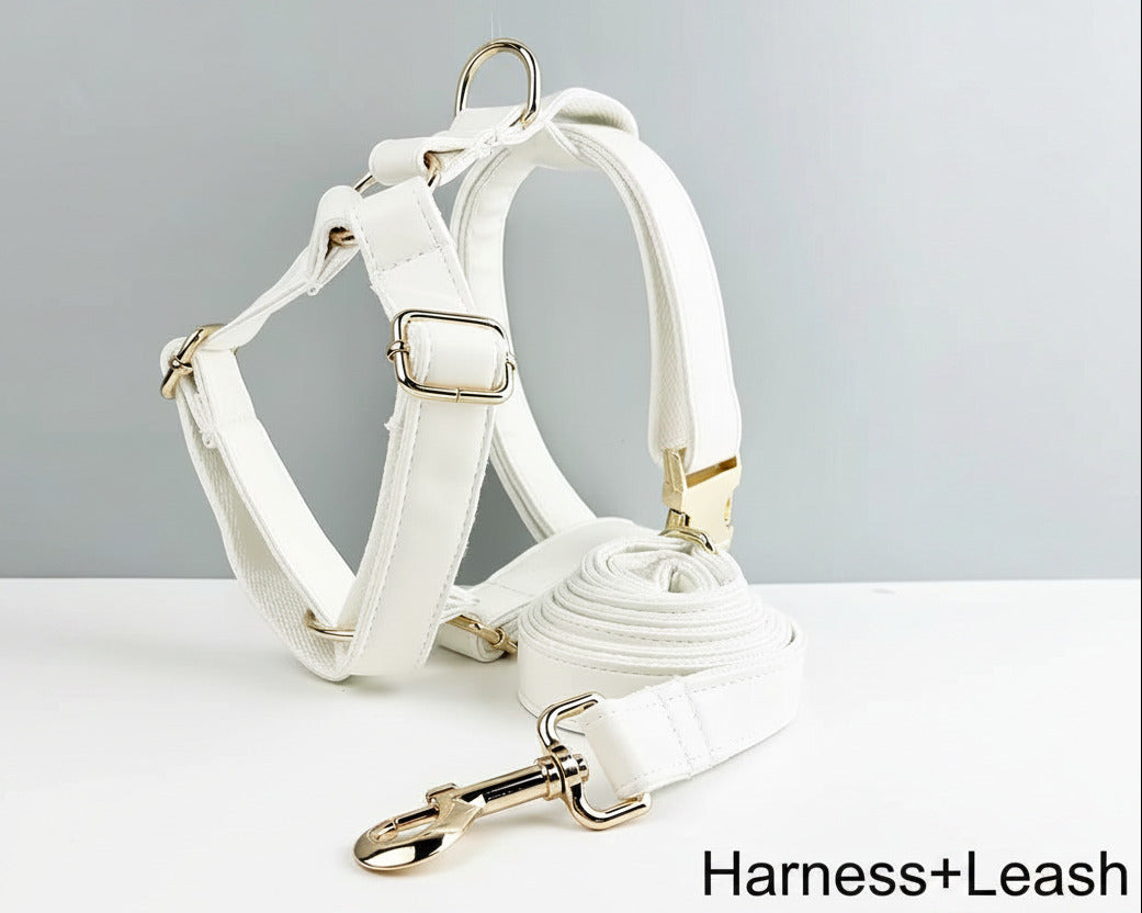 White leather harness with matching leash and gold buckles