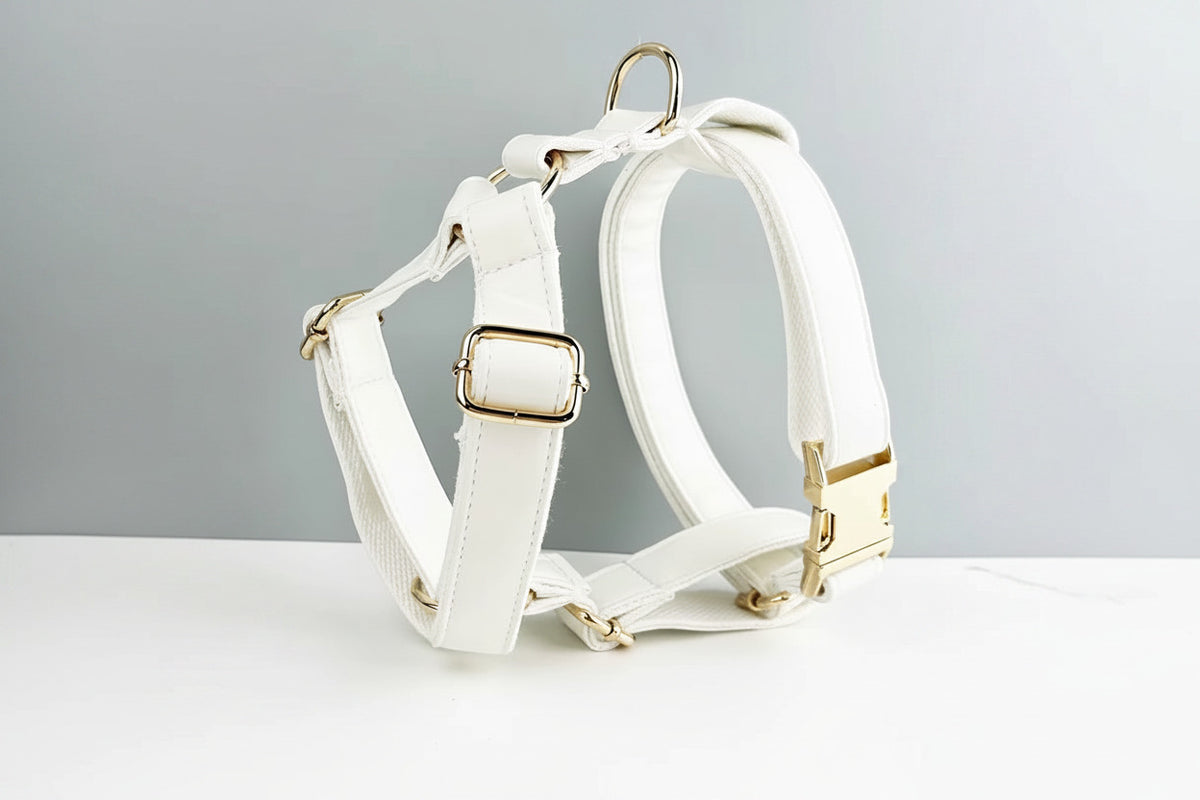 White leather dog harness with gold buckles and removable bowtie