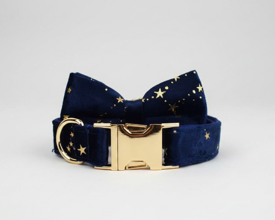 Dark blue velvet bow tie collar with gold buckle and star pattern