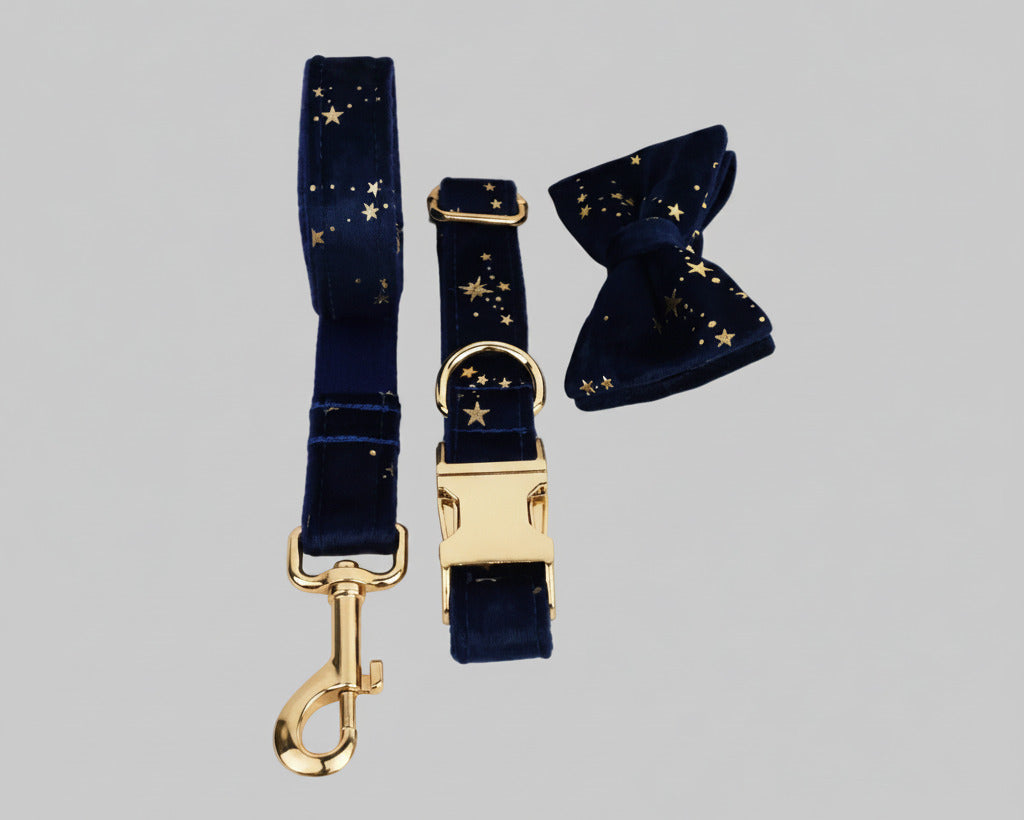 Dark blue velvet pet collar and leash set with gold star accents and clasp hardware