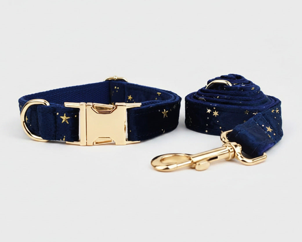 Dark blue velvet pet collar and matching leash set with gold hardware and star pattern