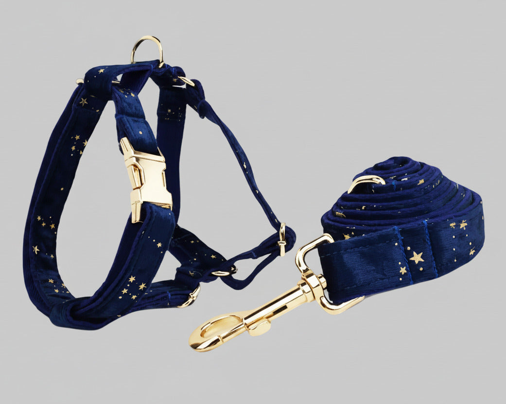 Navy velvet dog harness with matching leash and gold star pattern, plus strap hardware