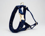 Dark blue velvet harness with gold buckle and leash attachment ring