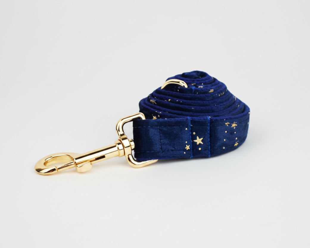 Dark blue velvet leash with star print and gold hook clasp