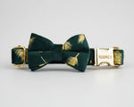 Green feather velvet bowtie collar with gold nameplate and matching bow