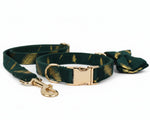 Feather-print green velvet collar with gold hardware, plus matching leash