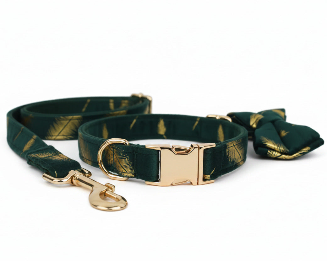 Feather-print green velvet collar with gold hardware, plus matching leash