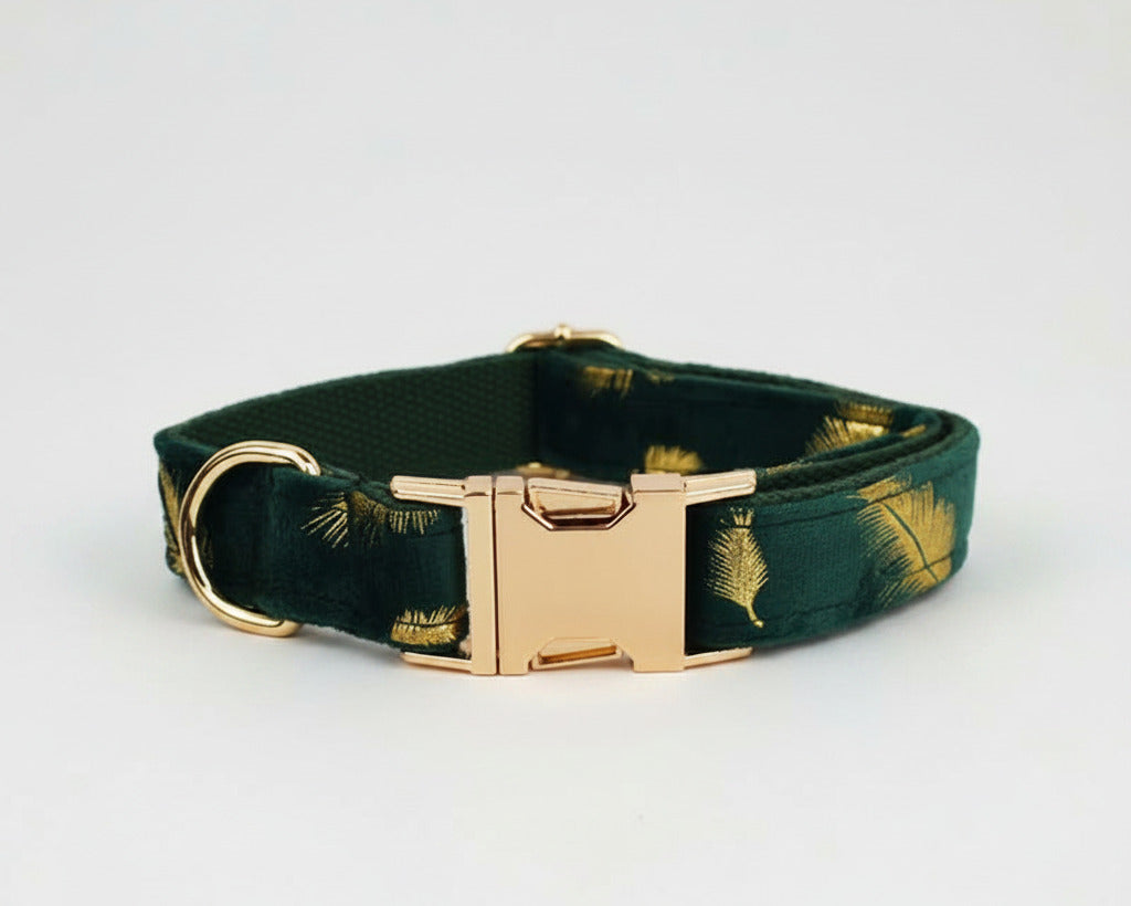 Green feather velvet dog collar with gold buckle and feather pattern